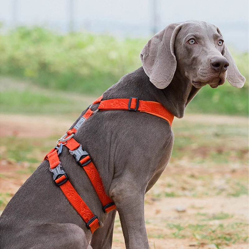 Winhyepet Köpek Koşum evcil hayvan kayışı Ayarlanabilir Yelek Üçlü Anti-kaçış Seyahat Yürüyüş Evcil Hayvan Aksesuarları Küçük Orta Büyük Köpekler