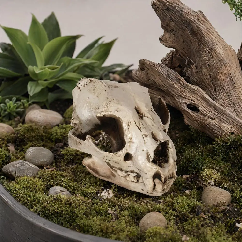Halloween Dog Skull Ornament Dog Skull Ornament Resin Halloween Decoration Canine Skull Model Dog Bone Prop for Education