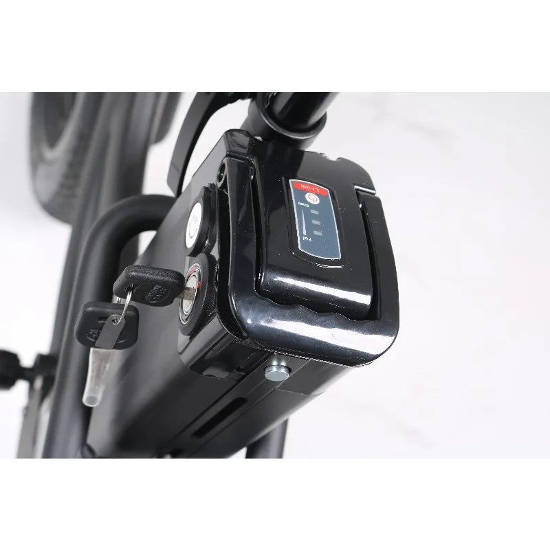24 Inch Triciclo Electric Trike 500W Motor Fat Tire 3 Wheel E Bike Tricycle Three Wheels Adult Cargo Electric TRICYCLE