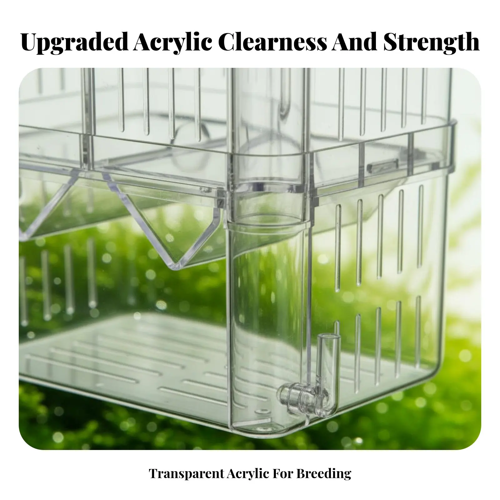 Picture 5: Aquatic Fry Separation Box Thickened and Sturdy Aquatic Breeding Box Buoyant Fry Hatchery Multifunctional Guppy Breeding