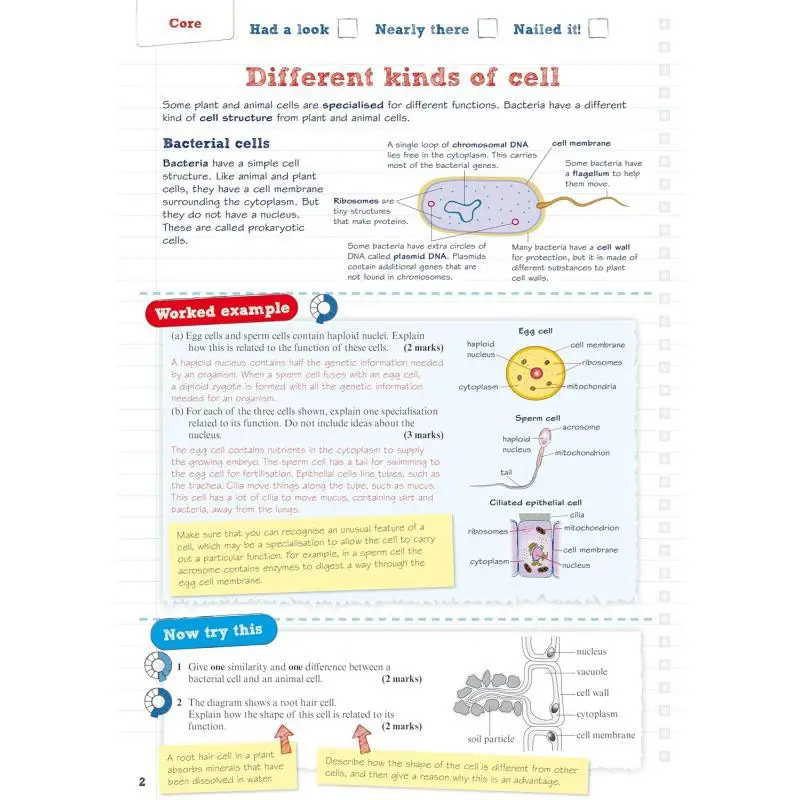 دليل مراجعة كريم الأساس البيولوجي Edexcel GCSE يضمن مراجعة المراجعة عبر الإنترنت والمسابقات لامتحان 2025 و2026