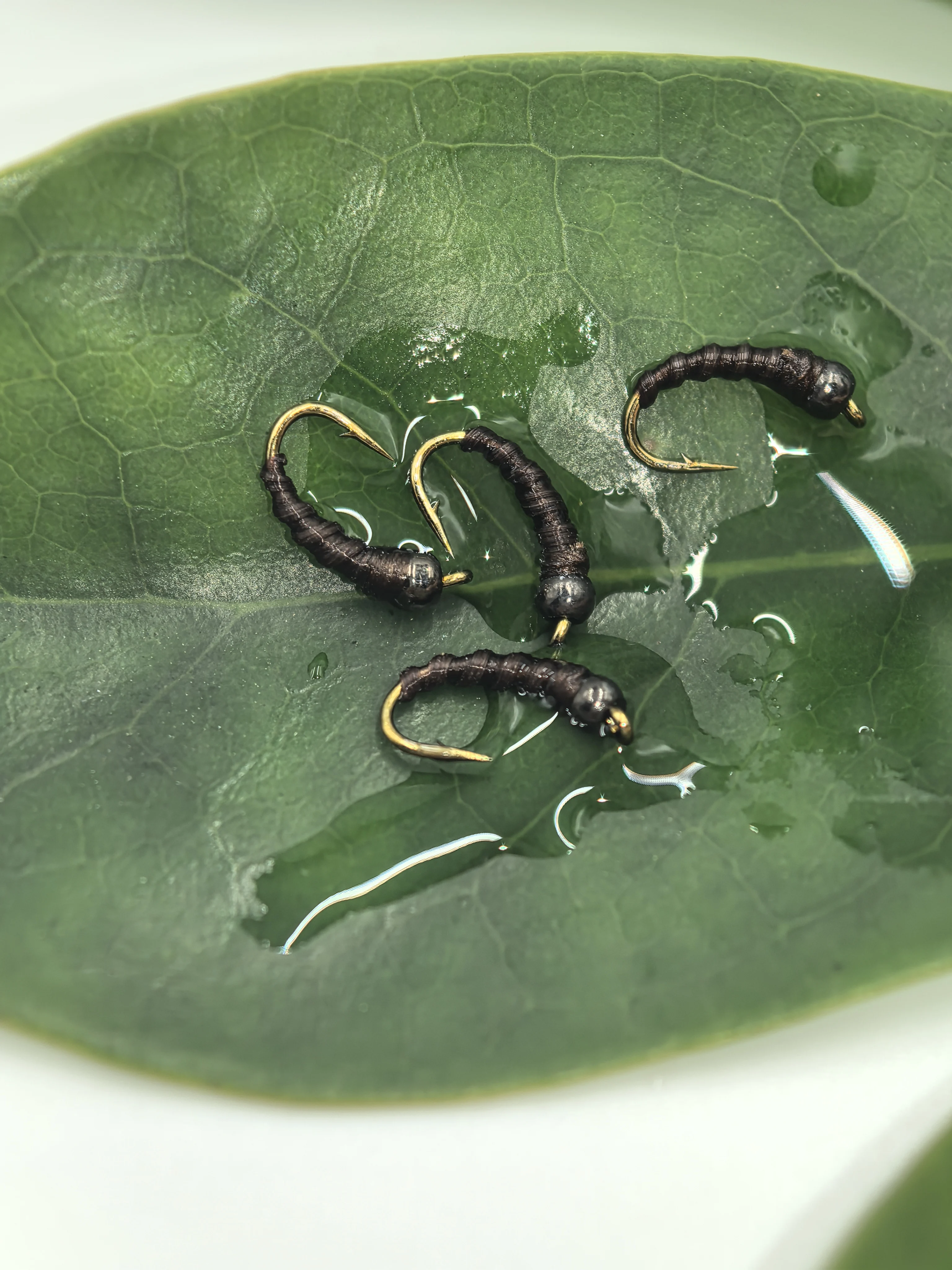 7 señuelos de pesca con mosca para larvas de caddis y ninfa Zebra Midge |   Fregadero Rápido Tamaño 16 # |   Moscas para Pesca de Trucha y Lubina en Agua Dulce