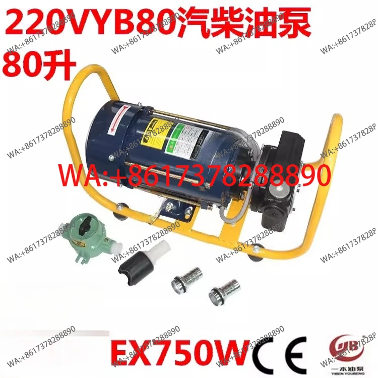 Pump Explosion-proof Motor High Flow Pump 220V380V Methanol Self-Priming Oil Pump