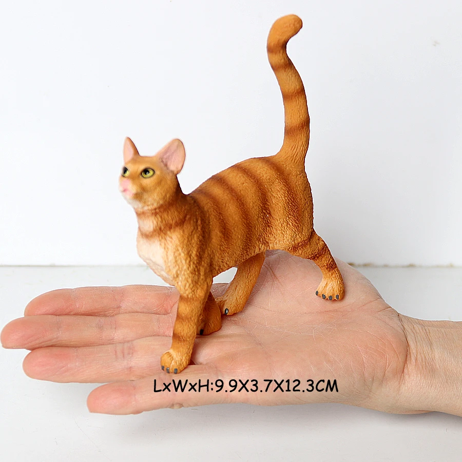Cat -20
