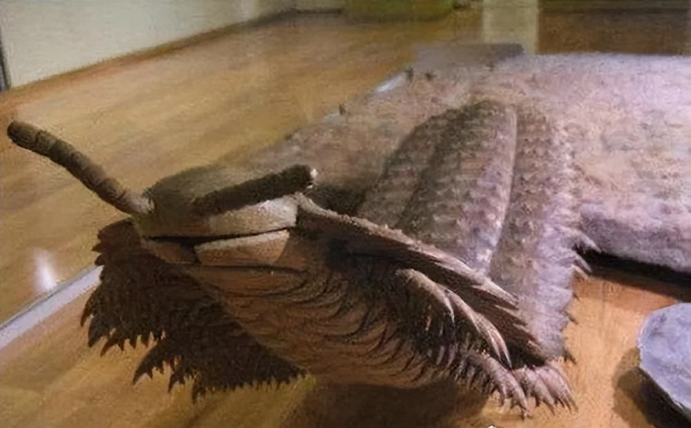 

Крышка вентилятора охлаждения 30x30 с воздуховодом для радиатора двигателя/ESC 540 550 3650, для радиоуправляемых машин 1/10 1/8 Sakura D3 D4 HSP HPI