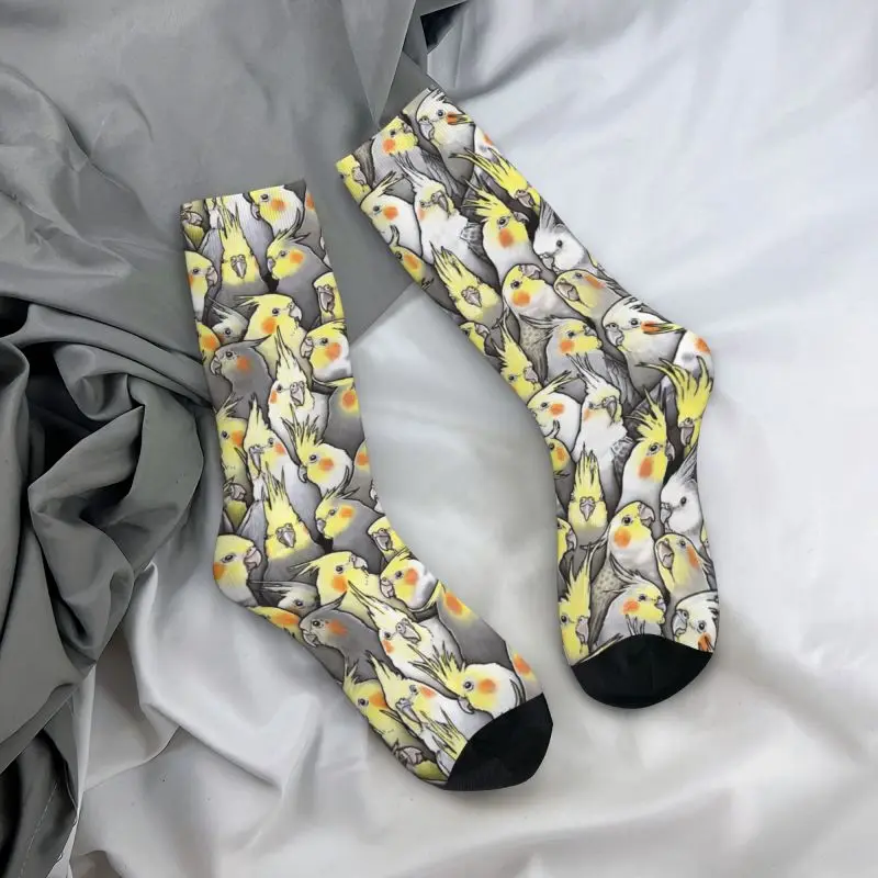 Funny Printed Funny Cockatiels Galore Socks for Men Women Stretch Summer Autumn Winter Parrot Birds Crew Socks