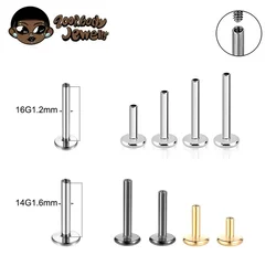 10PCS G23 Titanium Labret 16G 18G 4/14mm Staaf Interne Draad Plug Septum Oor lippen Neus Piercing Tragus Lichaam Sieraden Accessoires