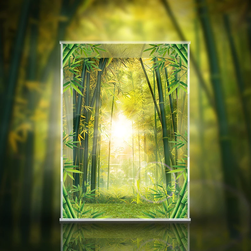 

MART MEGA SPACE MOLLY 400% Panda Limited Edition Collectible Figure Display Box Anime Cartoon Toy ow Case