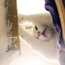 뇨***눔