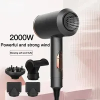 High Speed Hair Dryer Professional High Power Blow Dryer Salon Electric Blow Dryer Styling Tools Negative Ions 2000w