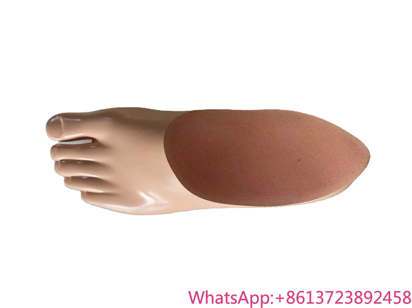 

Pirogoff Beige Polyurethane Prosthetic Foot for Knee Prosthetic Application