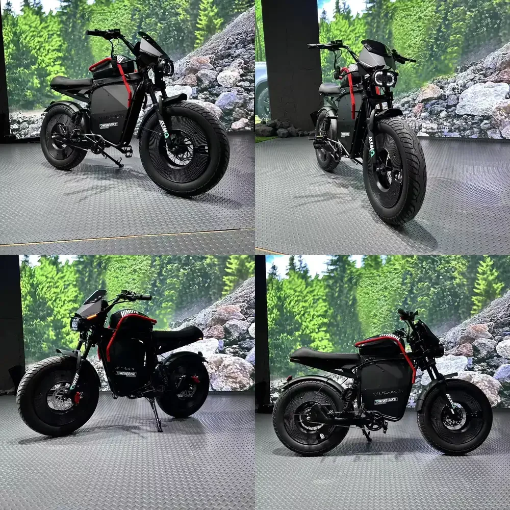 

Hot Sale Heavy Three Levels Speed 48V 500W Motor Sport Ebike Mountain Bike Long Range