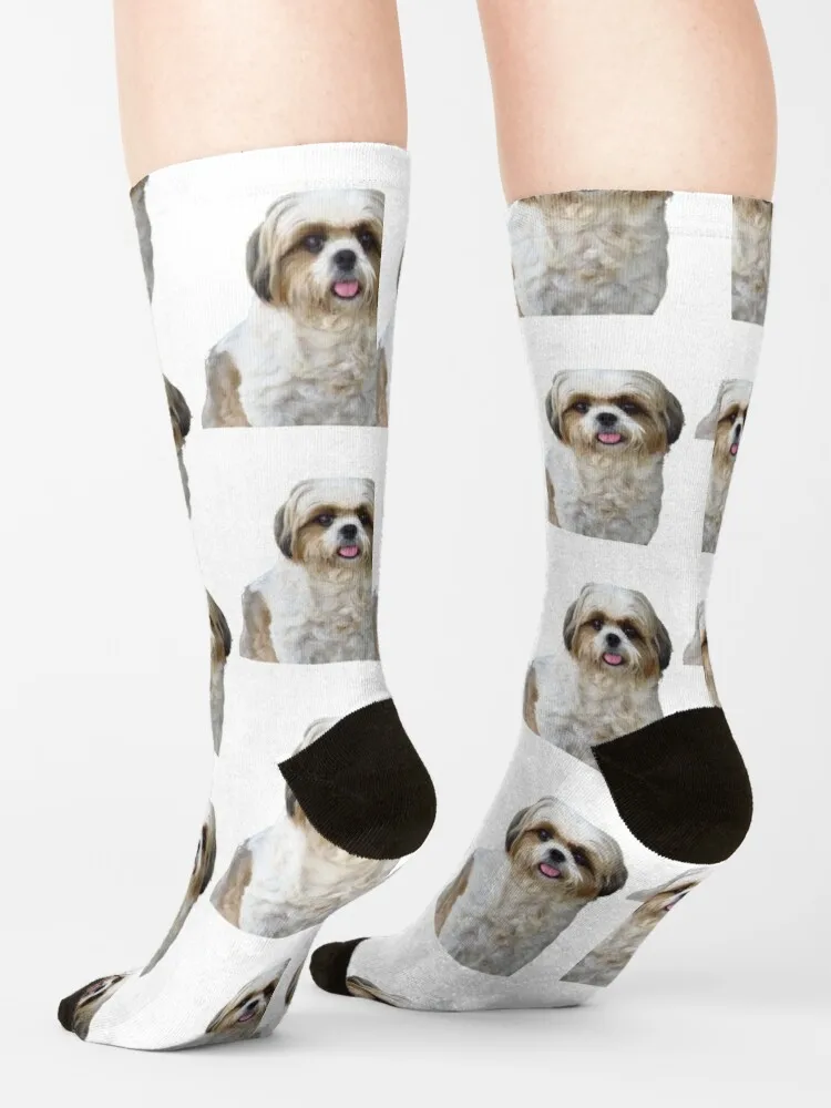 Calcetines térmicos de cara de perro Shih Tzu para hombres, moda