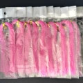 C3   10Packs