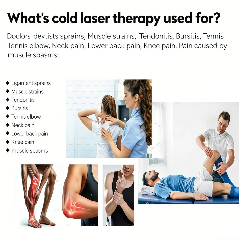 Ganzkörper-Physio-Maschine Veterinär-Magnetfeldtherapie-Therapie Stimulation Lichtlaser Magnetos Magnetoterapia 6T Pulse Equine