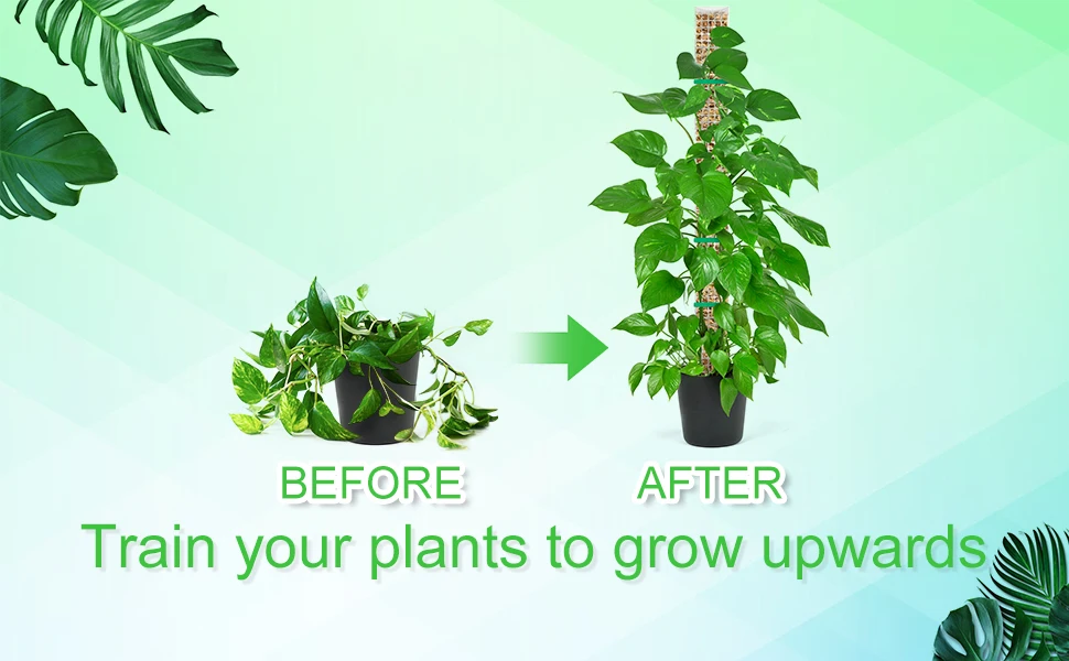 Stapelbare Kunststoff-Moosstange für Monstera-Pflanzen, Kletterstütze mit Pflanzband für Zimmerpflanzen wie Pothos und Philodendron – Detail 5