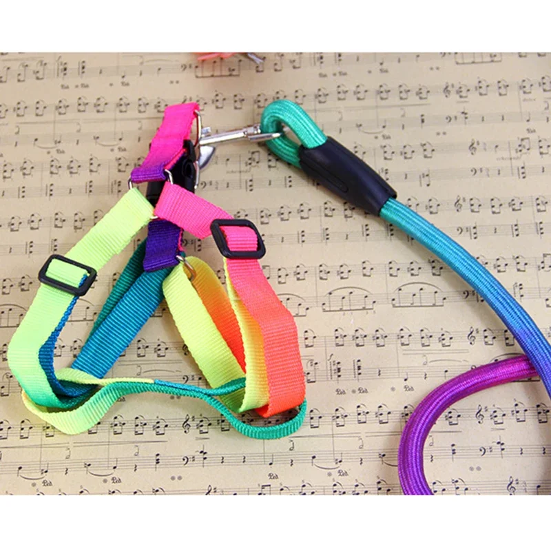 Adjustable Rainbow Nylon Puppy Dog Pet Cat Harness and Leash Pet Vest Lead Daily Training Walking Chest Strap