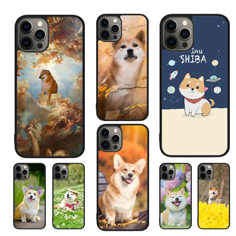 Animal Shiba Inu Do… - image