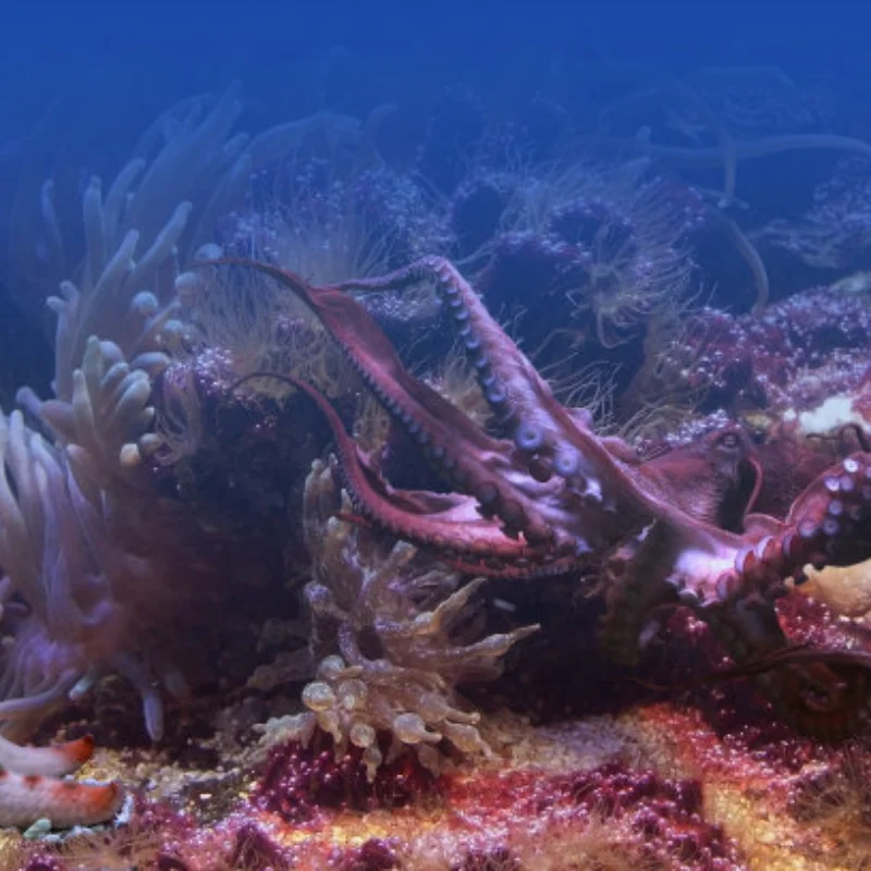 

4 шт. Rally 1.9 металлический обод ступицы колеса с бисером для 1/10 RC Crawler Axial SCX10 90046 AXI03007 Trxs TRX4 RC4WD D90