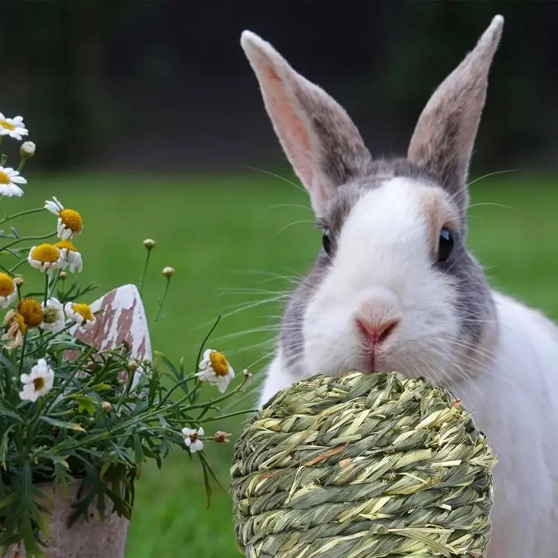 Bunny Chew Toys For Rabbits Teeth Guinea Pig Grass Ball Bite-Resistant Treats For Guinea Pig Rabbit Squirrel Hamster Chinchilla