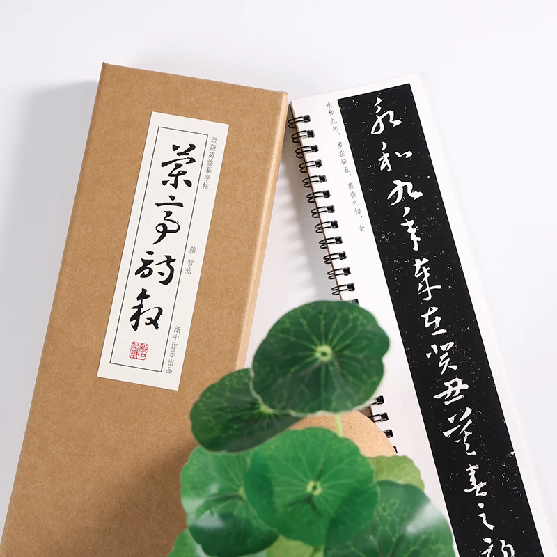 Professional Calligraphy Cursive Script Brush Complete Collection Calligraphy Stone Tablets Adult Practice Copybook Art Supplies