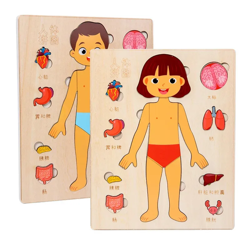 Montessori ปริศนา Busy Board การสอนร่างกายมนุษย์การเรียนรู้ Body Parts สําหรับเด็ก Early Education เกมเด็กวัยหัดเดิน Quiet หนังสือ