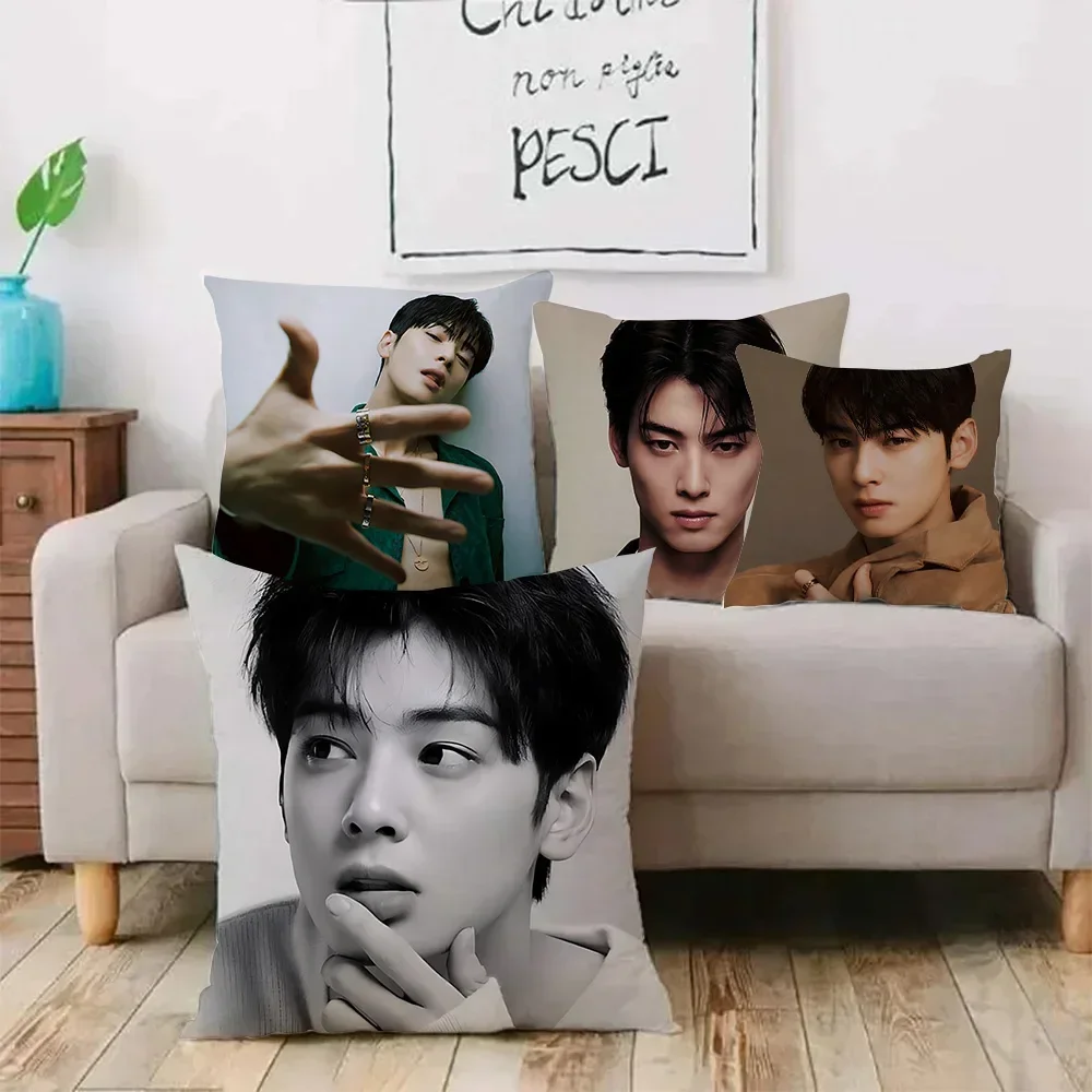 Kpop Singer Cha E-Eun W-Woo Pillow Covers Cartoon Sofa Decorative Home Double-sided Printing Short Plush Cute Cushion Cover