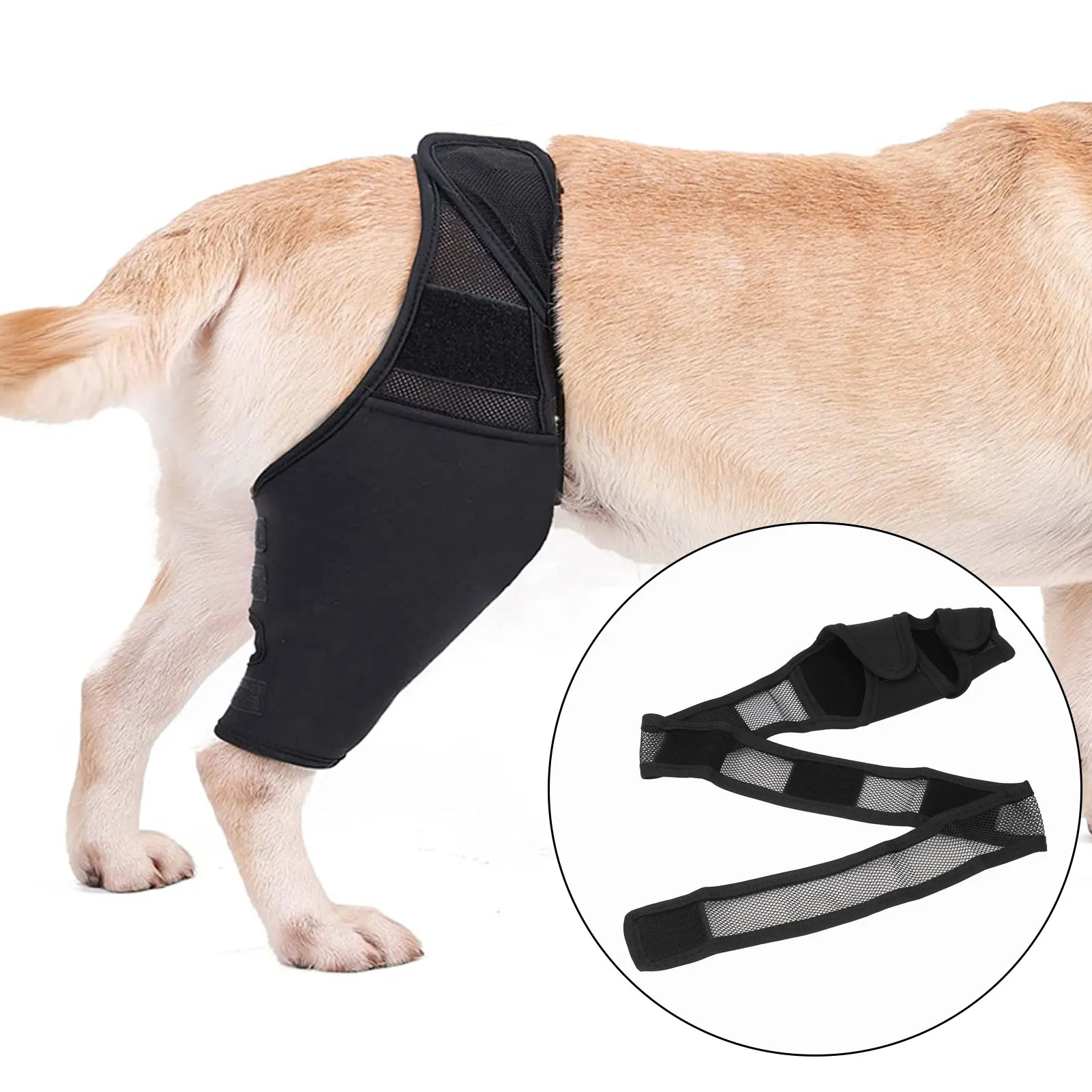 Dog Knee Brace Accelerate Recovery And Blood Circulation Dog Torn Acl Brace For Patella Luxation