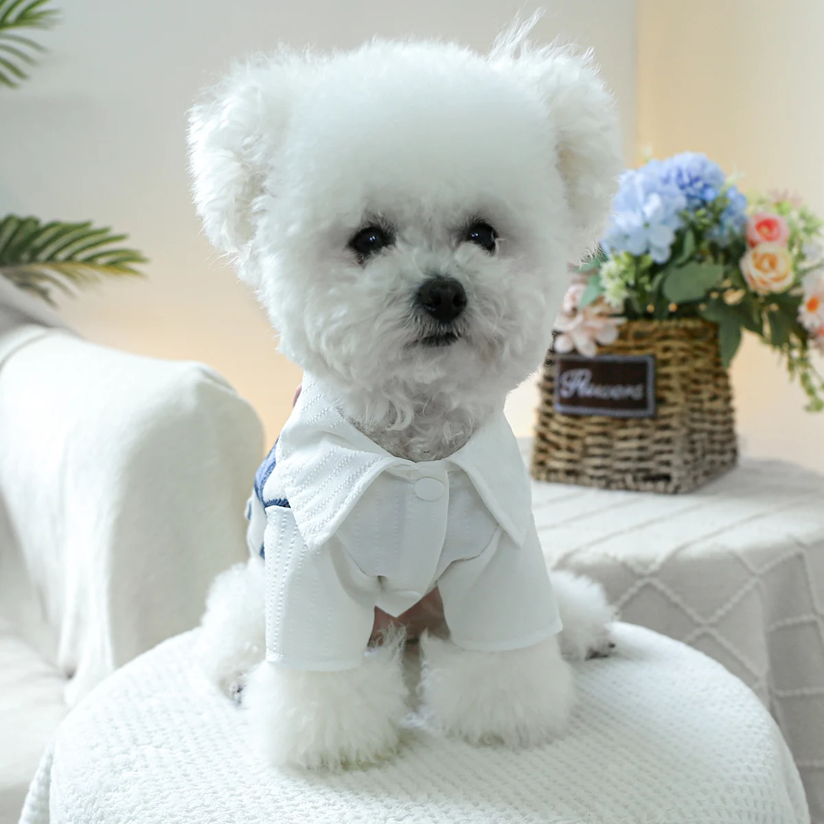 1PC Pet Clothing Spring and Autumn Handsome Gentleman Blue Grid Tailcoat Coat Suitable for Small and Medium sized Dogs