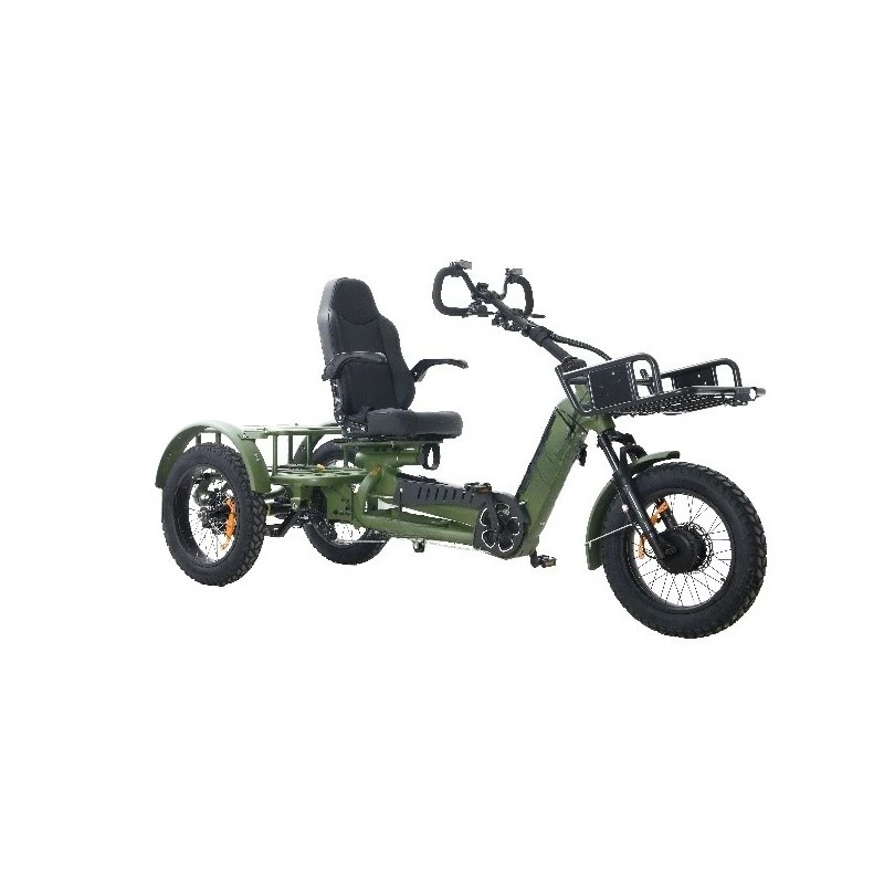 Most Popular Tricycle  Motor 2500w Three Wheel Electric Trike with Pedal Assistant Long Range Adult Electric Tricycle