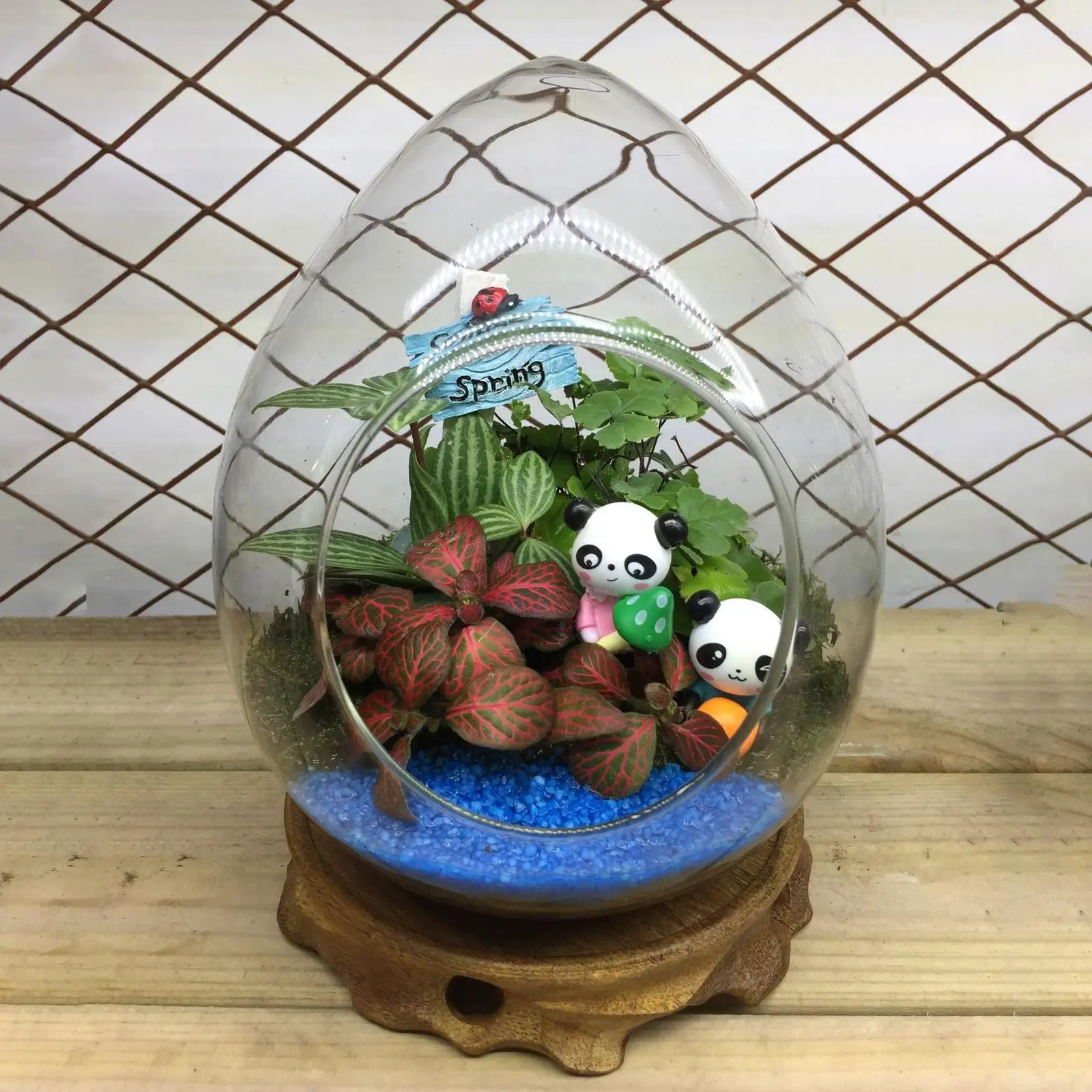 Flower Vase Goose Egg Shape Transparent Planter Terrarium Micro Landscape