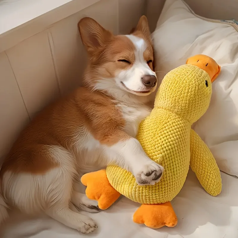 1 Stück kaubeständiges großes Plüsch-Enten-Hundespielzeug, interaktive Ente, kaubeständig, Begleiter, Welpenspielzeug für kleine Hunde, langlebiges Haustier-Kauspielzeug