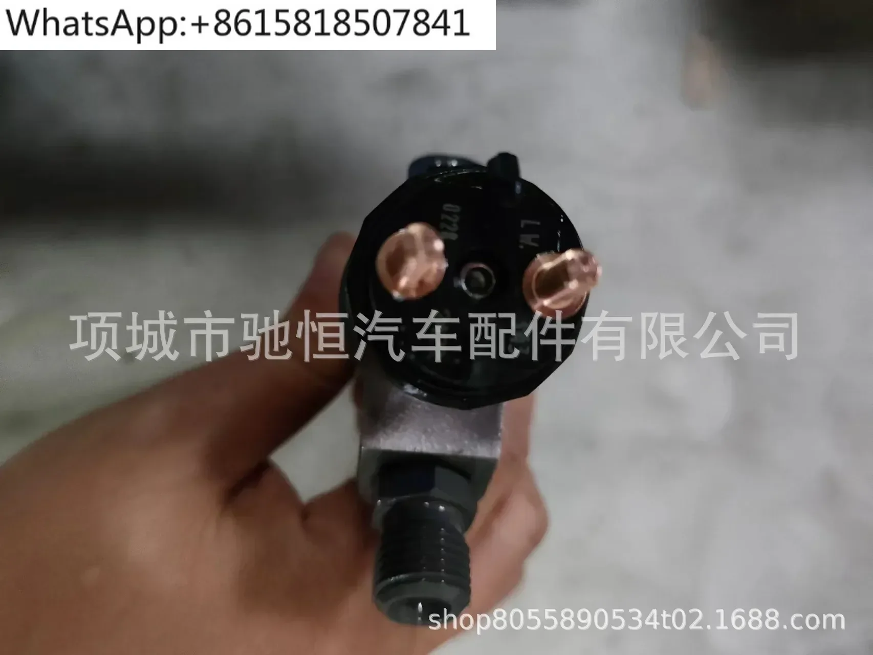 Common rail injector 0445120343 612640080031 suitable for Shaanxi Automobile Delong Weichai WD10