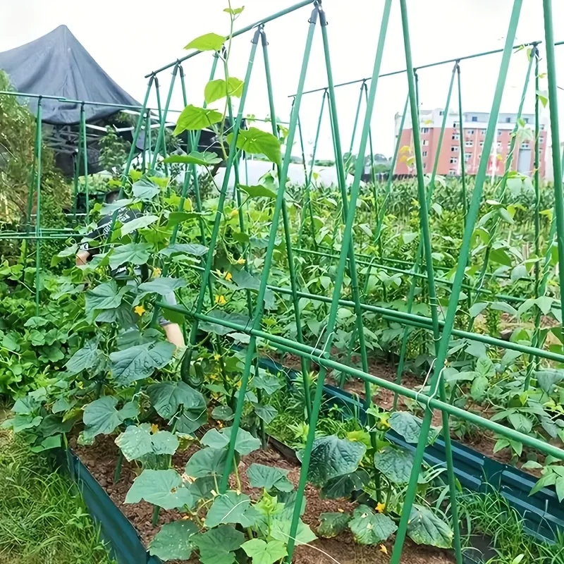 Outdoor Vegetable Climbing Frame Kit, Plastic Coated Steel Sturdy Trellis Poles for Tomato Cucumber Bean Plant Support H0983