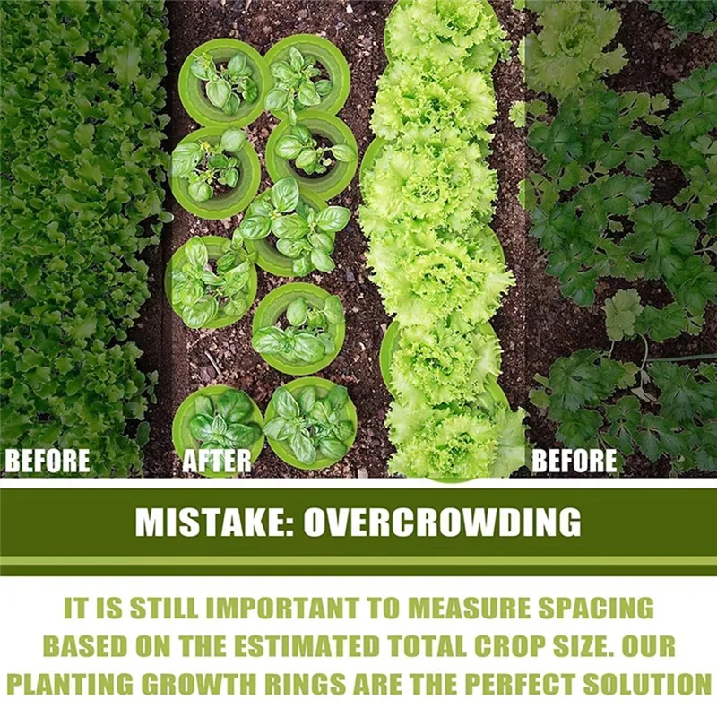 

AT05-20Pcs Reusable Plant Protection Rings Eco-Friendly Garden Solution Eco-Friendly Garden Solution
