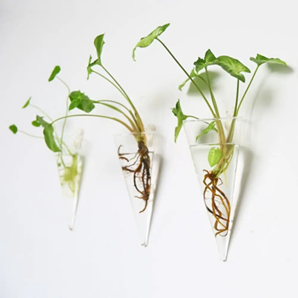 Wall-mounted Glass Crafts Irregular Shape Fish Tank Hydroponic Plants Flower Vase Hydroponic Vase Flower Pot Plant Container