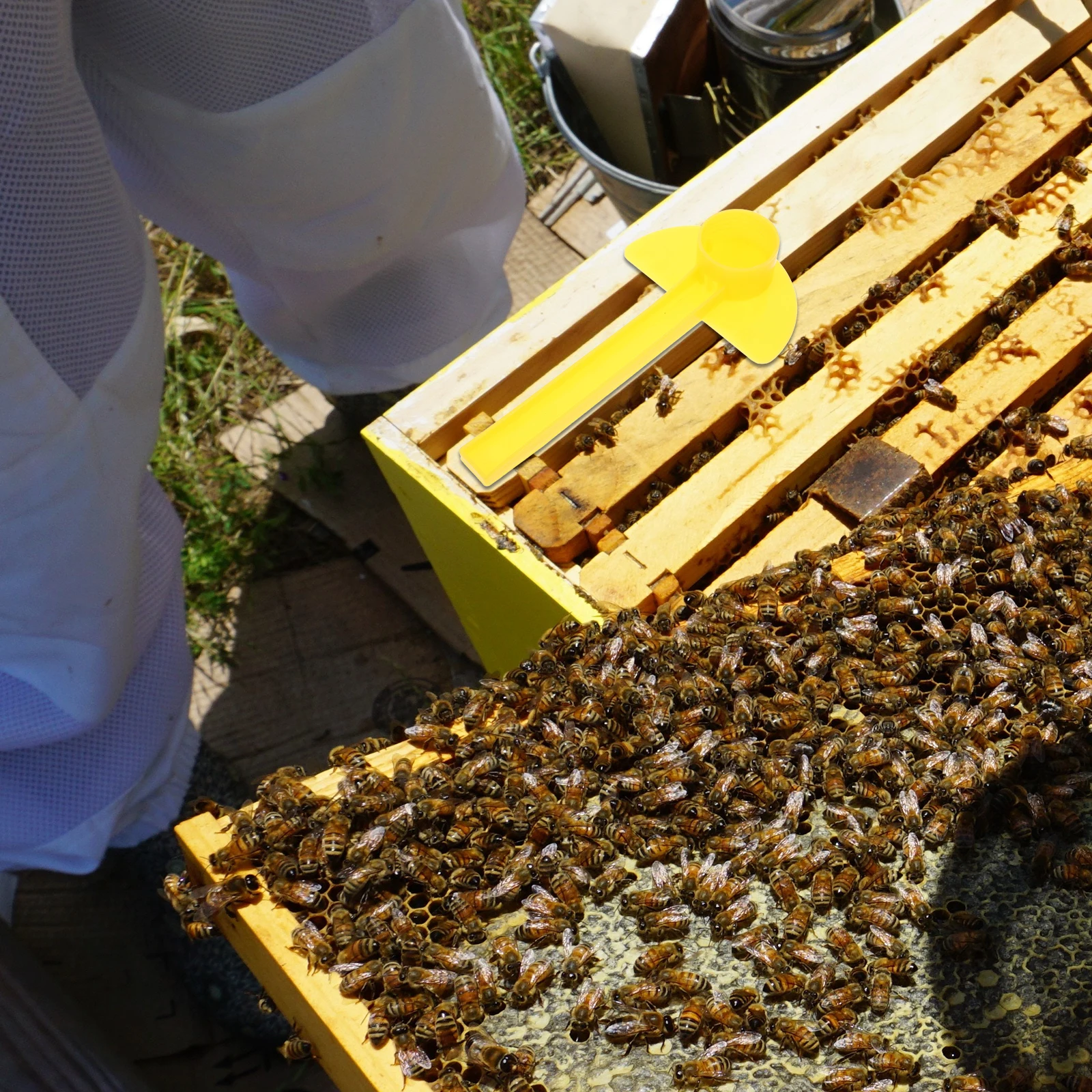 

10pcs Bees Water Feeder Hive Entrance Feeding Tool Durable Plastic Beekeeping Supply Garden Outdoor Use Bee Watering Cup