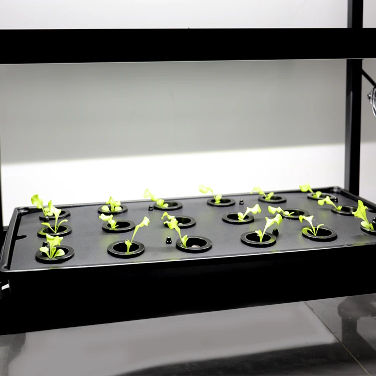 Picture 3: 1020 Germination Microgreens Growing Plastic Trays Plant Hydroponic Seed Starting Trays With 18 Planting Baskets