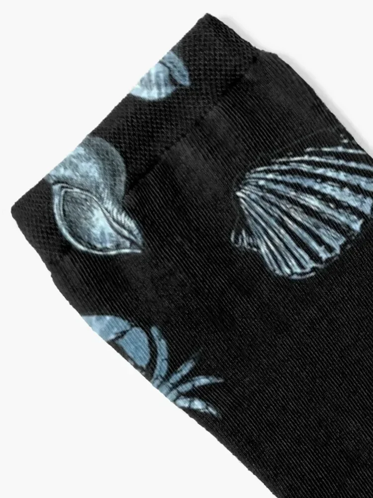 ~ SEA SHELL FOSSIL sticker pack ~ Socks christmas gifts valentine gift ideas hiphop essential Socks For Men Women's