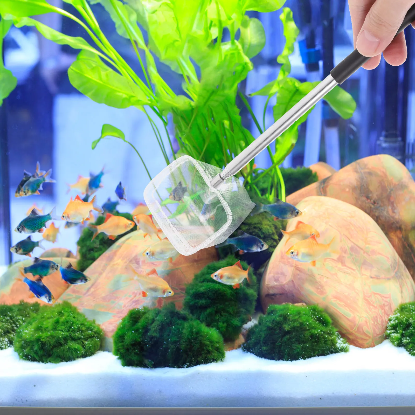 2 Pezzi Rete da Pesca in Accia - Aquarium Fish Net Small recensione e prezzo