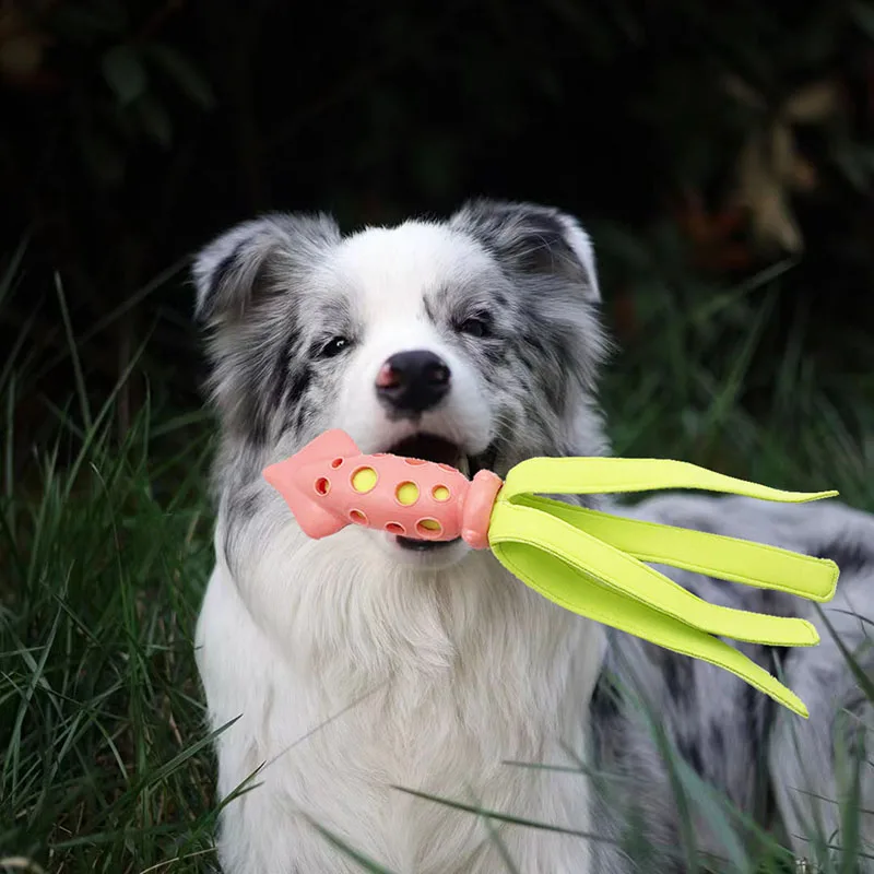 Juguete calamar chirriante resistente a mordiscos para perros - imagen 3