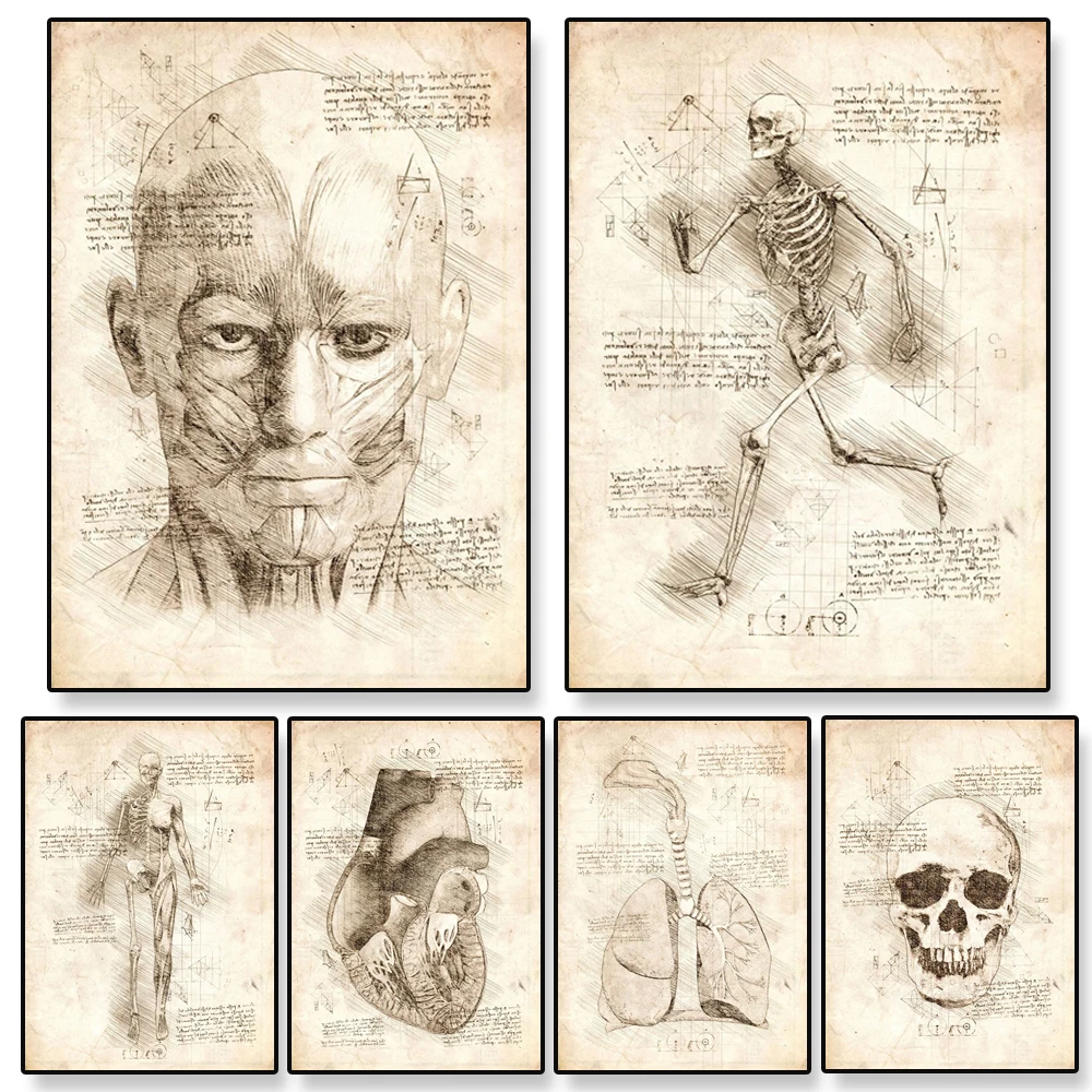 Vintage Prints Skeleton Running Nervous System Poster Female Half Drawing Anatomy Canvas Painting Medicine Office Wall Art Decor