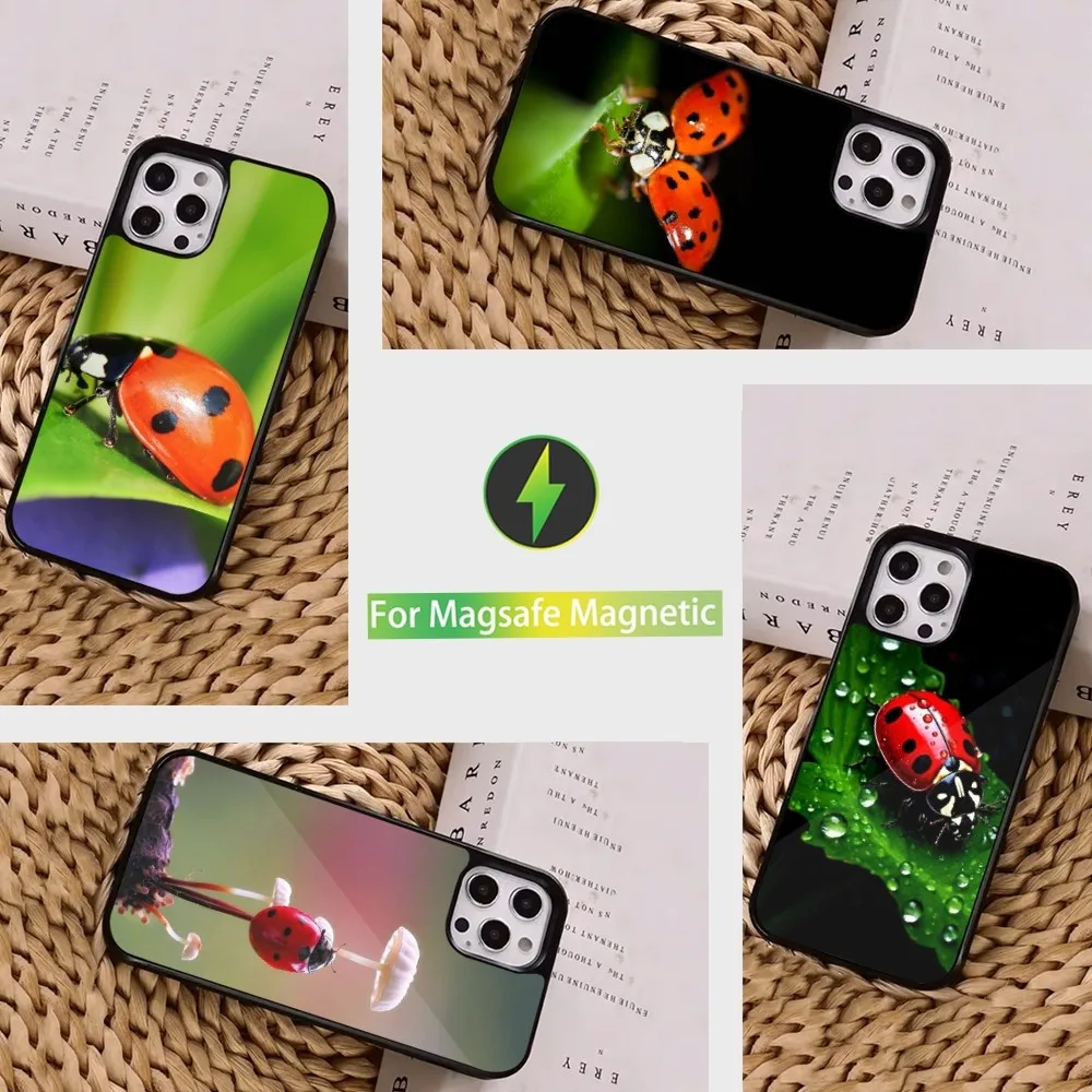 Insect Ladybug Phone Case  For iPhone 16,15,14,13,12,11,Pro,Max,Plus,Mini, Magsafe,Magnetic Wireless Charging Case