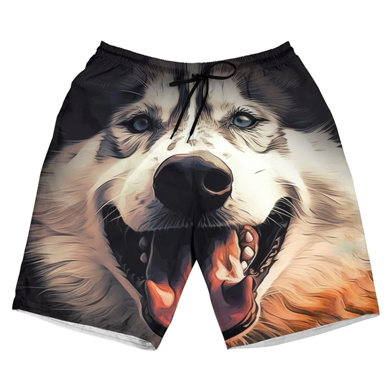 Lustige Strandshorts mit Tiermotiv für Herren, Digitaldruck, Sport-Badehose, Straßenspaß, süßer Hund, Hai-Grafik, 2025, Sommer-Boardshorts