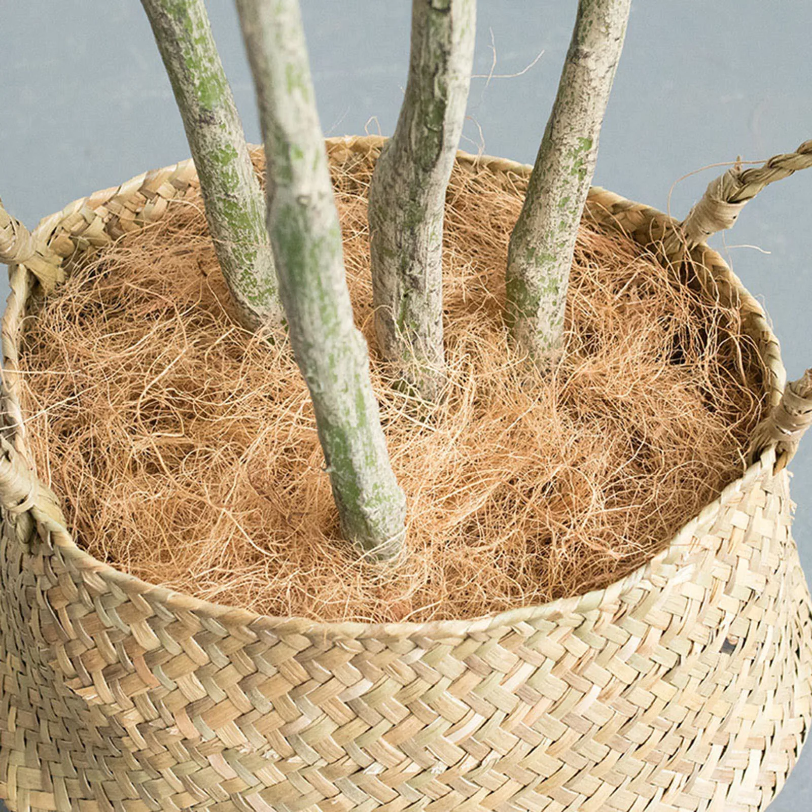 Dust-Free Planter Coconut Fiber Insect-proof  Plants Fiber for Garden Enthusiasts Lovers