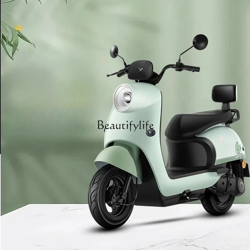 88.Long battery life electric motorcycle commuter electric vehicle adult battery car