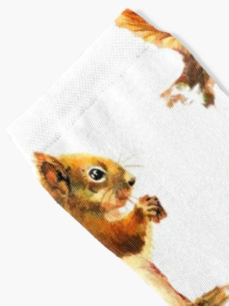 Watercolor Red Squirrel Animal Socks cool colored shoes Socks Girl Men's