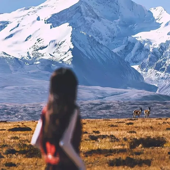 

Carbon Fiber Front Shock Absorbers Bumper Fixing Plate For 1/10 Tamiya TA02/TA-02SW RC Car Upgrade Parts