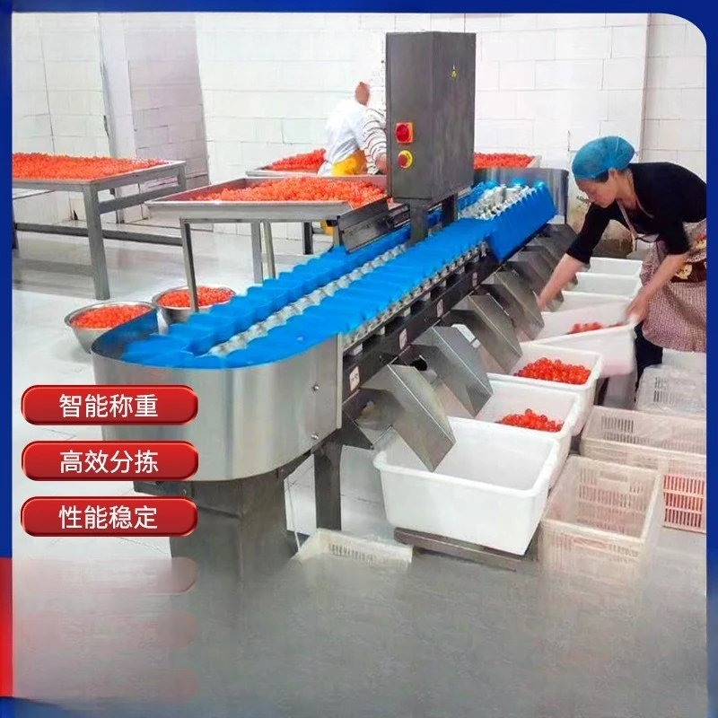 Checking scale Weight sorting machine Prefabricated vegetable Sweet potato Potato weight sorting machine Turntable