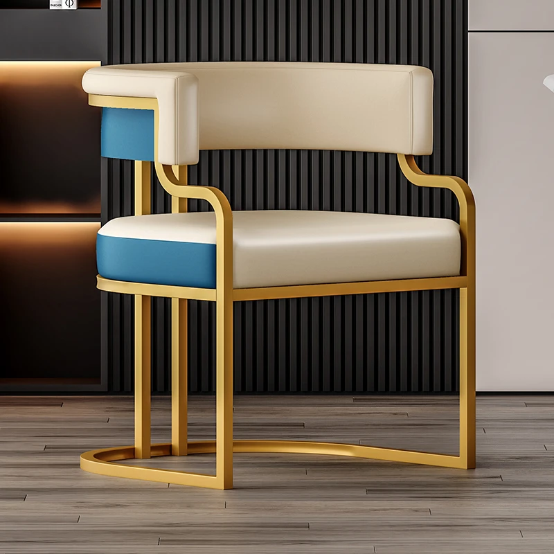 Metal Legs Minimalist Home Furniture Hotel Parks Schools Living Room Colorful Modern Contemporary Luxury Dining Chair